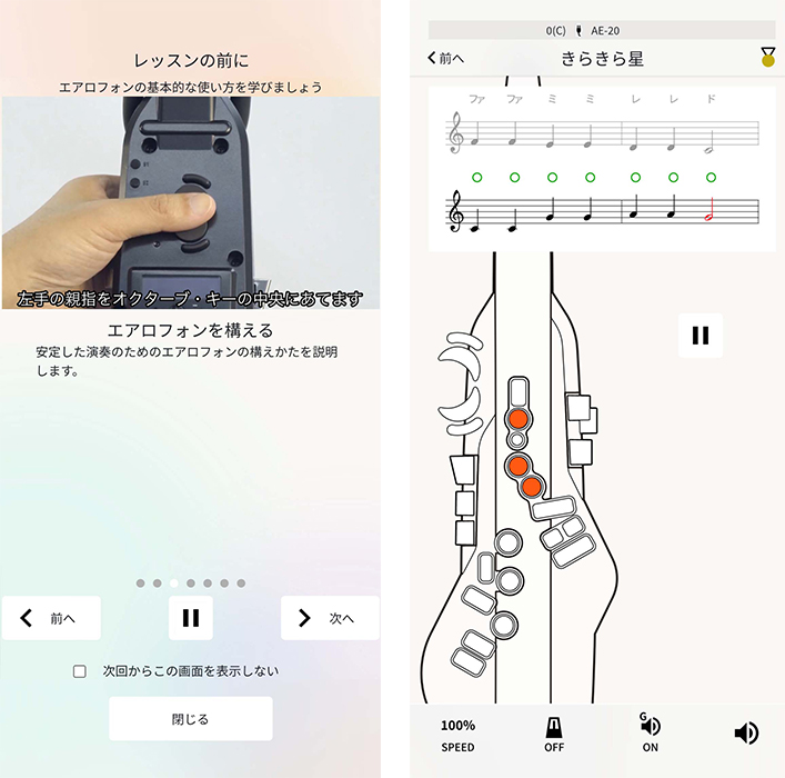 Roland AE-20 エアロフォン 電子楽器 ケースACアダプター説明書　付 Roland AE-20 エアロフォン ウインドシンセサイザー ローランド