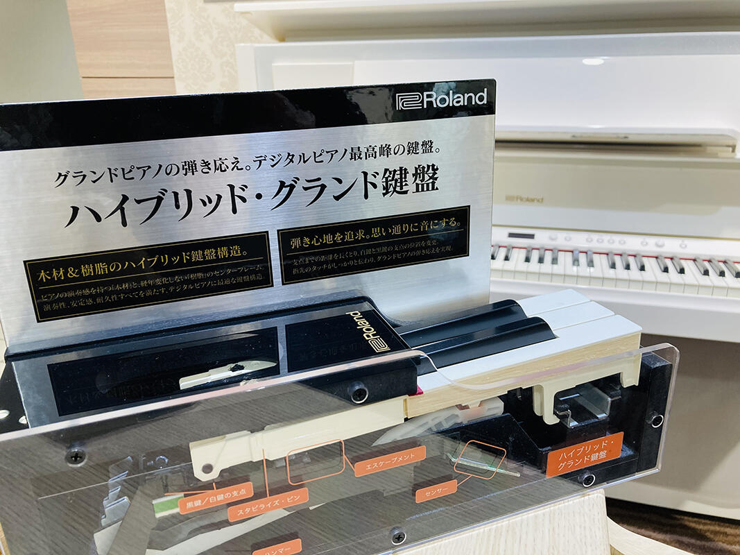 20230410_img001 .jpg