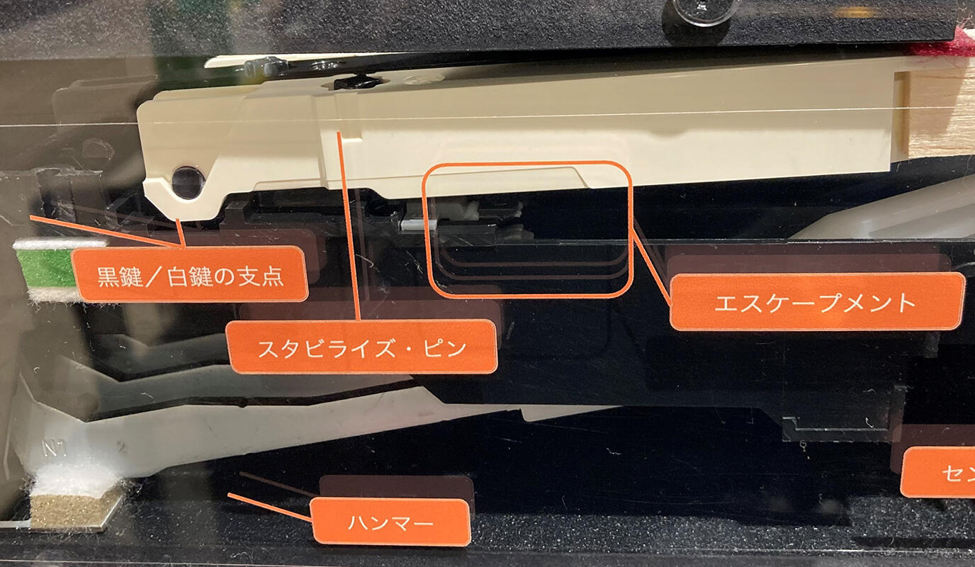 20230410_img002 .jpg