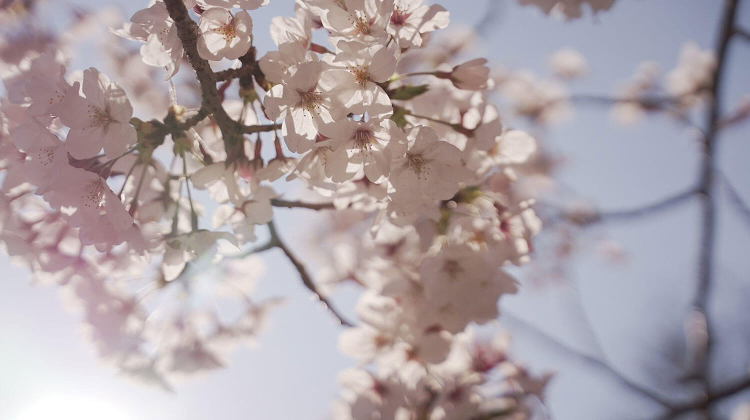 ワンルームでの新生活におすすめの電子ピアノ3選