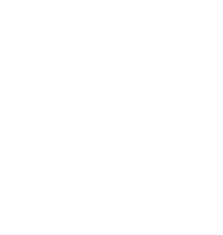 VIDEO INSTANT REPLAYER